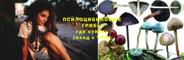 героин Алексин