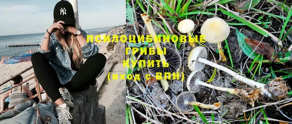 прущие крисы Алексеевка